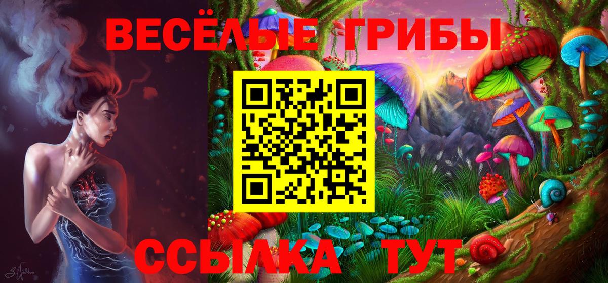 Протвино  Галлюциногенные грибы Psilocybe  Вход с VPN 